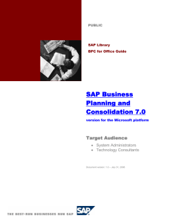 SAP Business Planning and Consolidation 7.0