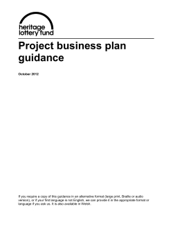 Project business plan guidance