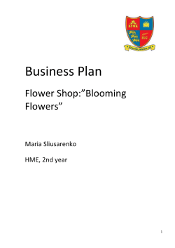 Business Plan Flower Shop:”Blooming Flowers”
