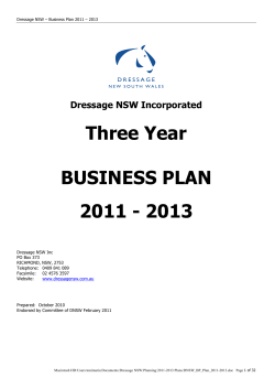 Three Year  BUSINESS PLAN 2011 - 2013