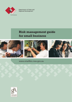 Risk management guide for small business www.smallbiz.nsw.gov.au