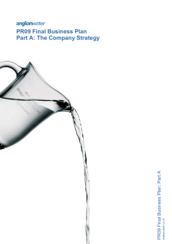 PR09 Final Business Plan Part A: The Company Strategy A Part