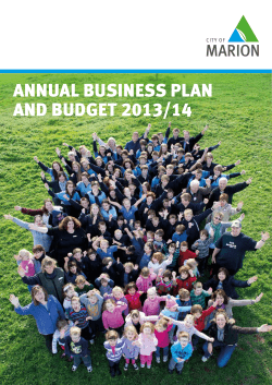 ANNUAL BUSINESS PLAN AND BUDGET 2013/14