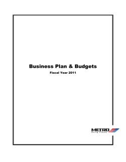 Business Plan &amp; Budgets Fiscal Year 2011  