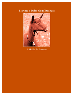 Starting a Dairy Goat Business A Guide for Farmers