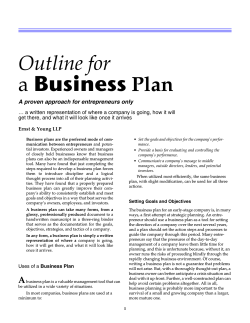 Business Outline for a Plan