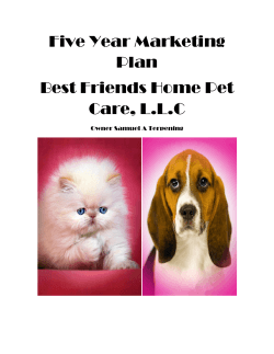 Five Year Marketing Plan Best Friends Home Pet Care, L.L.C