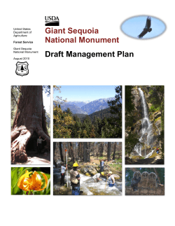 Giant Sequoia National Monument Draft Management Plan