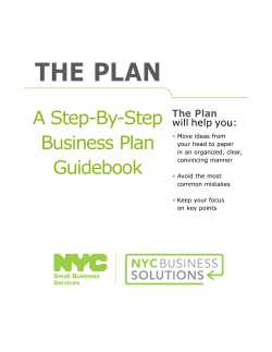 THE PLAN A Step-By-Step Business Plan Guidebook