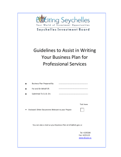 Guidelines to Assist in Writing Your Business Plan for Professional Services