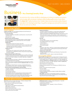 Business  Dry Cleaning/Laundry Shop