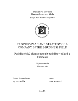 BUSINESS PLAN AND STRATEGY OF A COMPANY IN THE E-BUSINESS FIELD