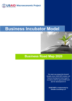 Business Incubator Model Business Road Map 2020 Macroeconomic Project