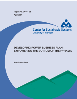 DEVELOPING POWER BUSINESS PLAN: EMPOWERING THE BOTTOM OF THE PYRAMID April 2004