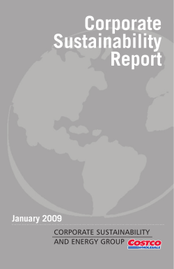Corporate Sustainability Report January 2009