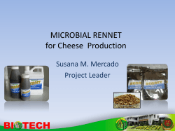 MICROBIAL RENNET for Cheese  Production Susana M. Mercado Project Leader
