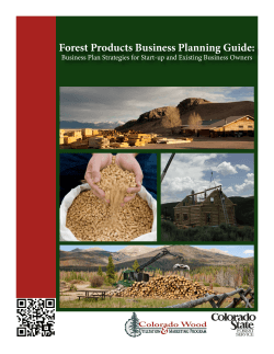 Forest Products Business Planning Guide: