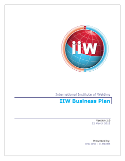 IIW Business Plan  International Institute of Welding Version 1.0