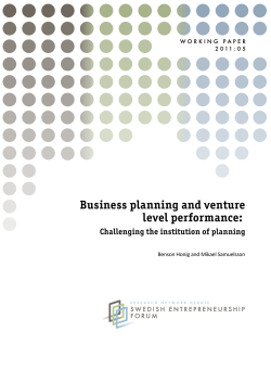 Business planning and venture level performance: Challenging the institution of planning