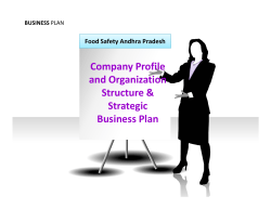 Company Profile and Organization Structure &amp; Strategic