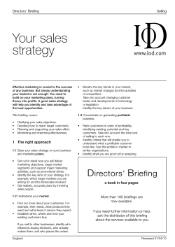 Your sales strategy Selling Directors’ Briefing