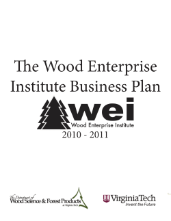 The Wood Enterprise Institute Business Plan 2010 - 2011