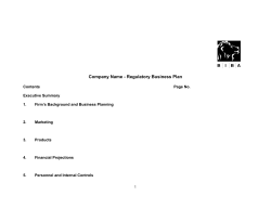 Company Name - Regulatory Business Plan