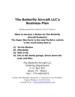 The Butterfly Aircraft LLC’s Business Plan