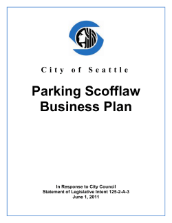 Parking Scofflaw Business Plan