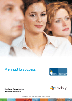 Planned to success Handbook for making the efficient business plan