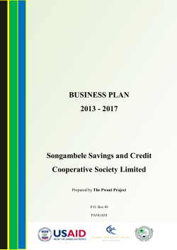 BUSINESS PLAN 2013 - 2017 Songambele Savings and Credit