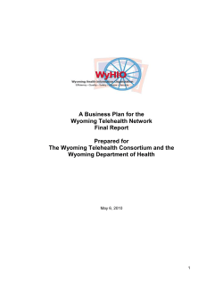 A Business Plan for the Wyoming Telehealth Network Final Report