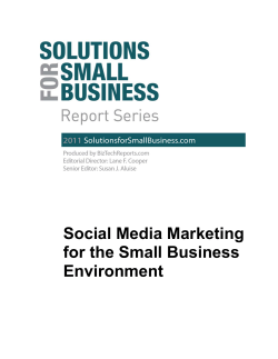 Social Media Marketing for the Small Business Environment