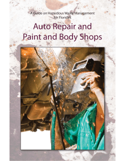 Auto Repair and Paint and Body Shops for Florida’s