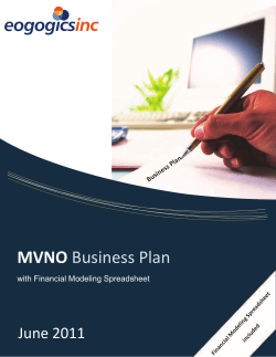 MVNO Business Plan June 2011 with Financial Modeling Spreadsheet