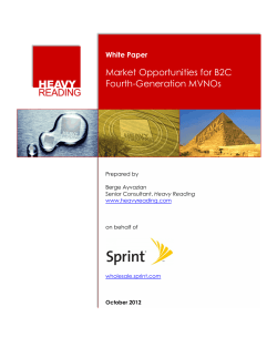 Market Opportunities for B2C Fourth-Generation MVNOs White Paper