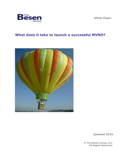 What does it take to launch a successful MVNO?  White Paper