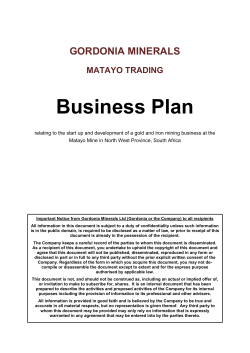 Business Plan GORDONIA MINERALS MATAYO TRADING