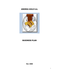 ANDREA GOLD S.A.  BUSINESS PLAN Nov 2008