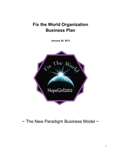 Fix the World Organization Business Plan