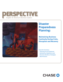 P erspective Disaster Preparedness