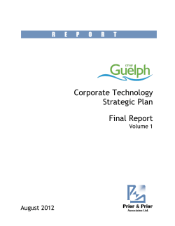 Corporate Technology Strategic Plan Final Report