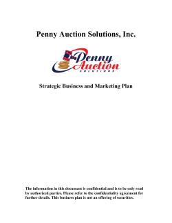 Penny Auction Solutions, Inc. Strategic Business and Marketing Plan