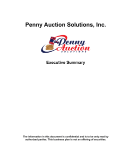 Penny Auction Solutions, Inc. Executive Summary