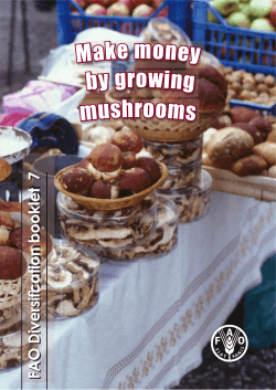 Make money by growing mushrooms 7