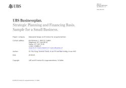 UBS Businessplan. Strategic Planning and Financing Basis. Sample for a Small Business.