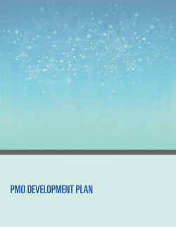 PMO DEVELOPMENT PLAN Table of Contents | 1