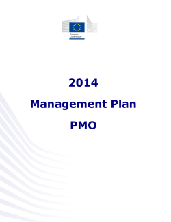 2014 Management Plan PMO