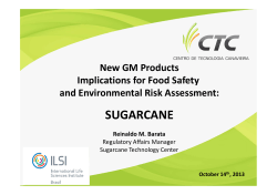 SUGARCANE New GM Products Implications for Food Safety and Environmental Risk Assessment: