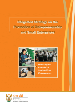 Integrated Strategy on the Promotion of Entrepreneurship and Small Enterprises Unlocking the